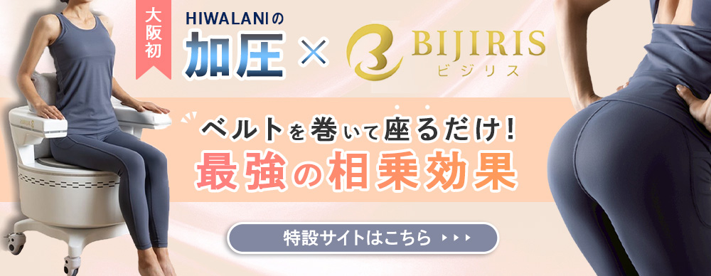 ビジリス